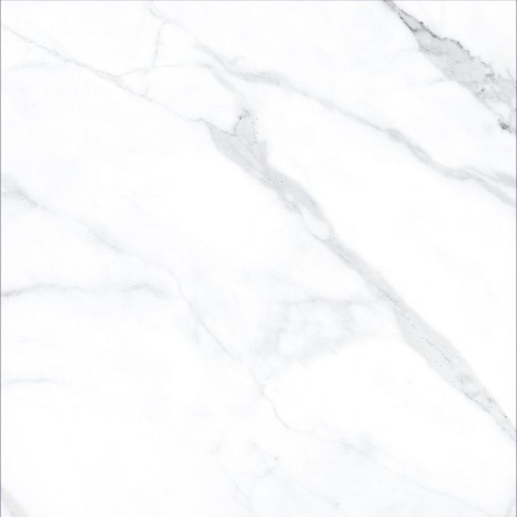 AGL Statuario Matte 24 x 24